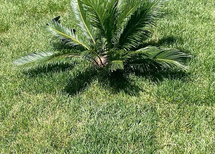 Dolcedo Отель Империя