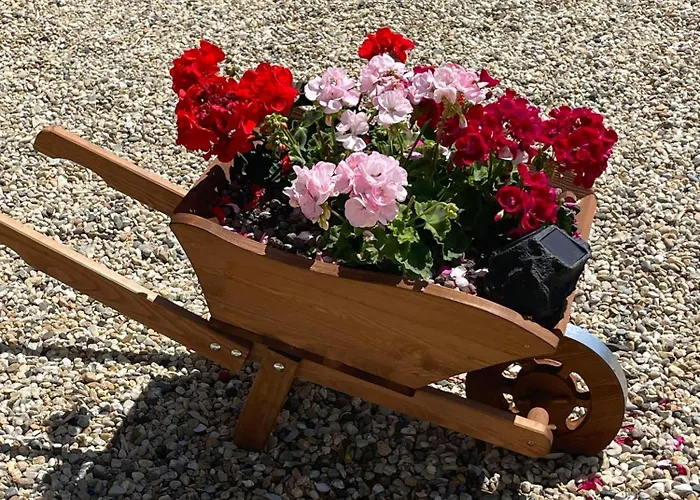 Dolcedo Империя